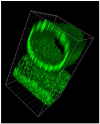 /-/media/5b679160b6c44028a5f465f6ba1031ba.png