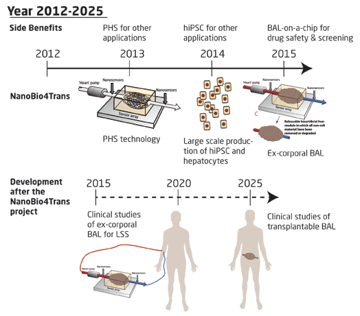 Project timeline